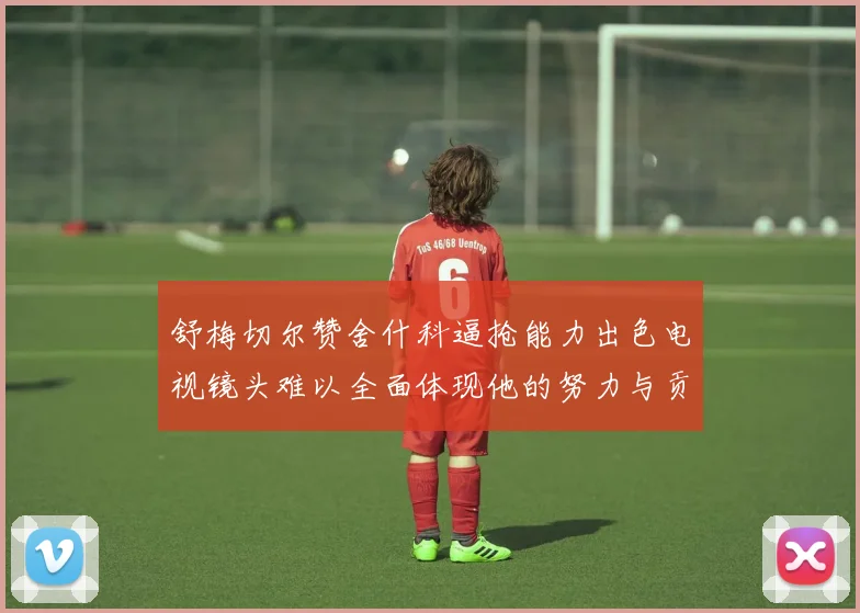 舒梅切尔赞舍什科逼抢能力出色电视镜头难以全面体现他的努力与贡献